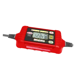 General Technologies GT-SC4E (автомат, 6/12V, АКБ 4-120Ач, ток 0.1-4А) / 20