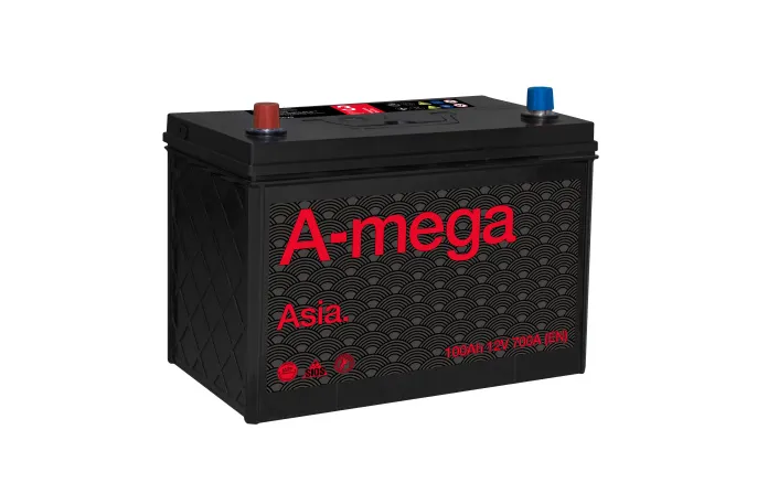 Аккумулятор A-mega Standard Asia 100 JL eye (700A, 305*175*225)