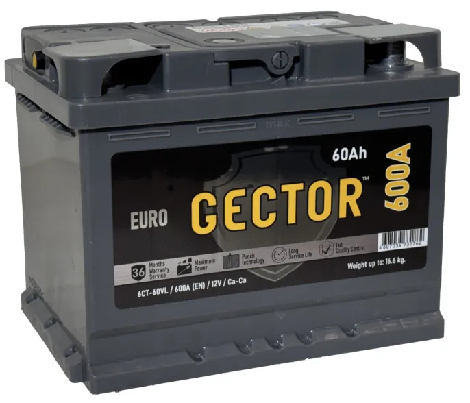 Аккумулятор GECTOR (АКОМ) 60 R (600A, 242*175*190)