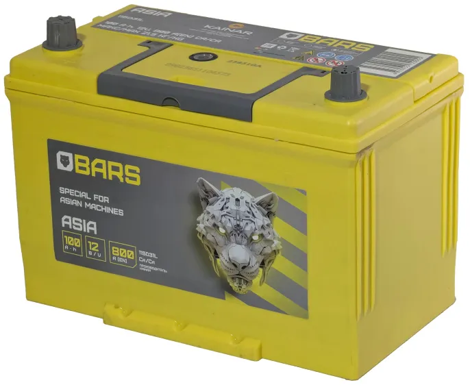 Аккумулятор BARS Asia 100 JL (800A, 304*173*220)